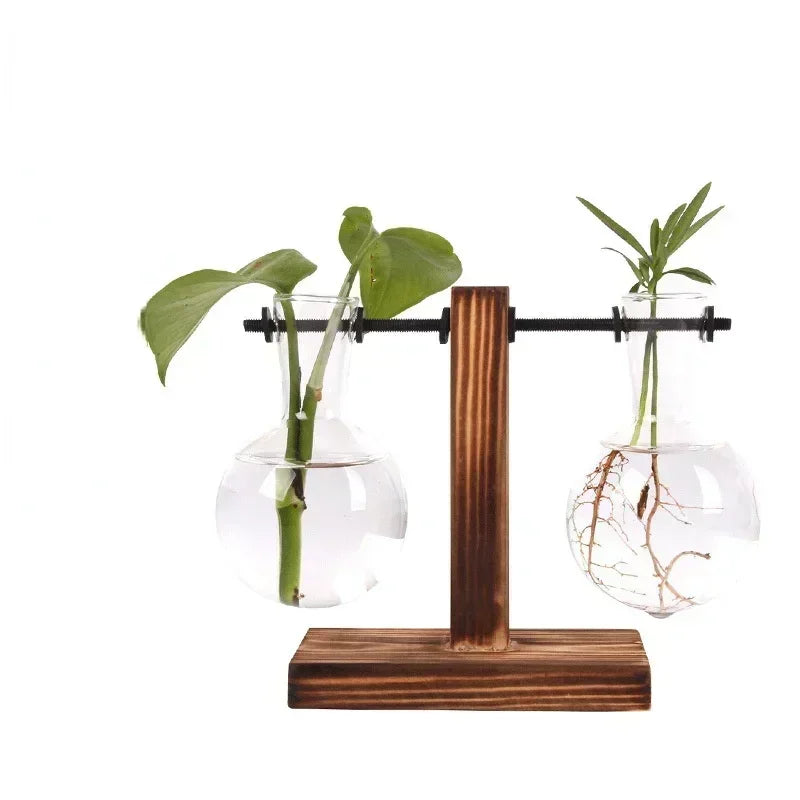 Hydroponic Glass Plant Terrarium – Modern Desktop Vase for Home & Office