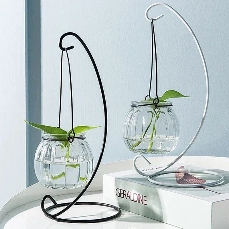 Hanging Glass Vase - Creative Transparent Ornament for Hydroponic Plants – Indoor Home Decoration Bottle Fresh