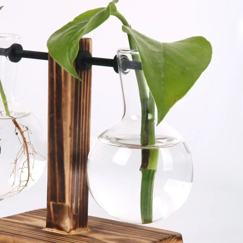 Hydroponic Glass Plant Terrarium – Modern Desktop Vase for Home & Office