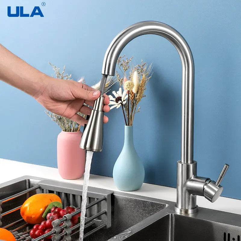 Black Brushed Kitchen Faucet - Pull Out Spout Mixer Tap with 360° Rotation