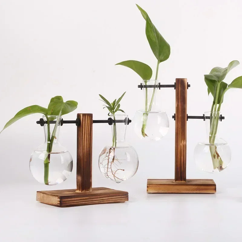 Hydroponic Glass Plant Terrarium – Modern Desktop Vase for Home & Office