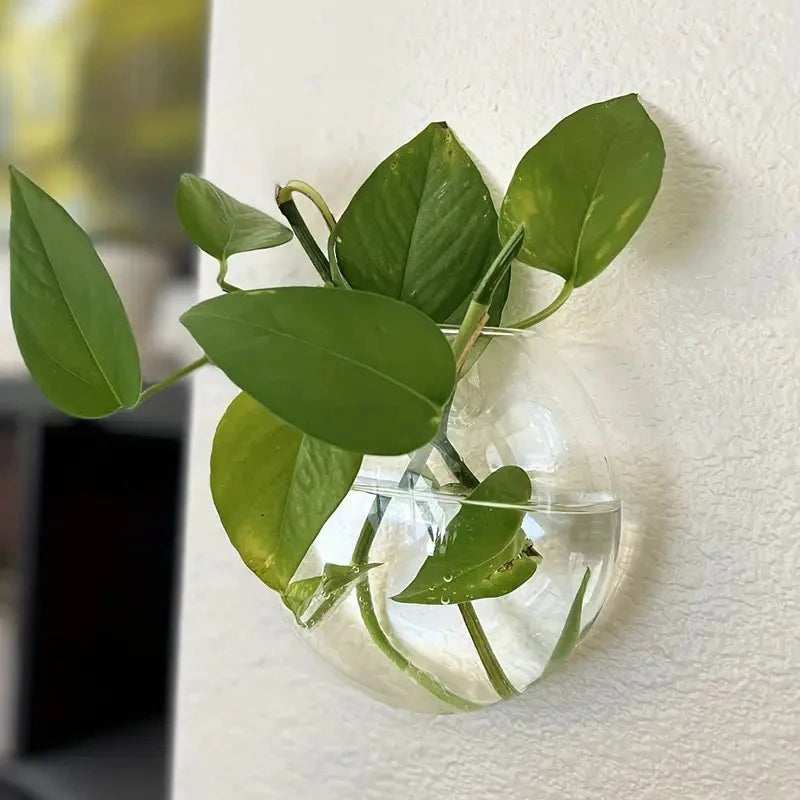 Wall Hanging Glass Plant Terrarium – Wall-Mounted Propagation Station & Flower Vase for Home & Office Decor