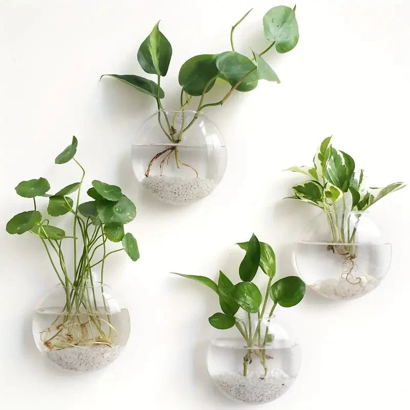 Wall Hanging Glass Plant Terrarium – Wall-Mounted Propagation Station & Flower Vase for Home & Office Decor