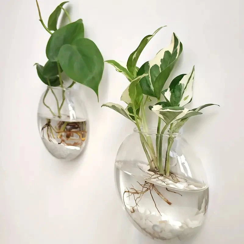 Wall Hanging Glass Plant Terrarium – Wall-Mounted Propagation Station & Flower Vase for Home & Office Decor