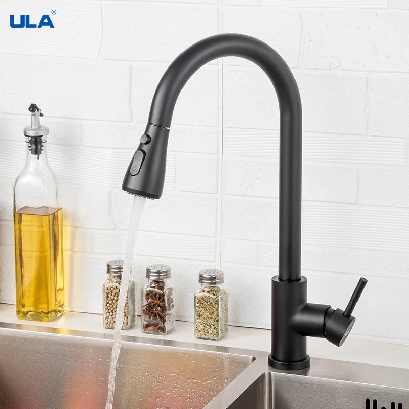 Black Brushed Kitchen Faucet - Pull Out Spout Mixer Tap with 360° Rotation