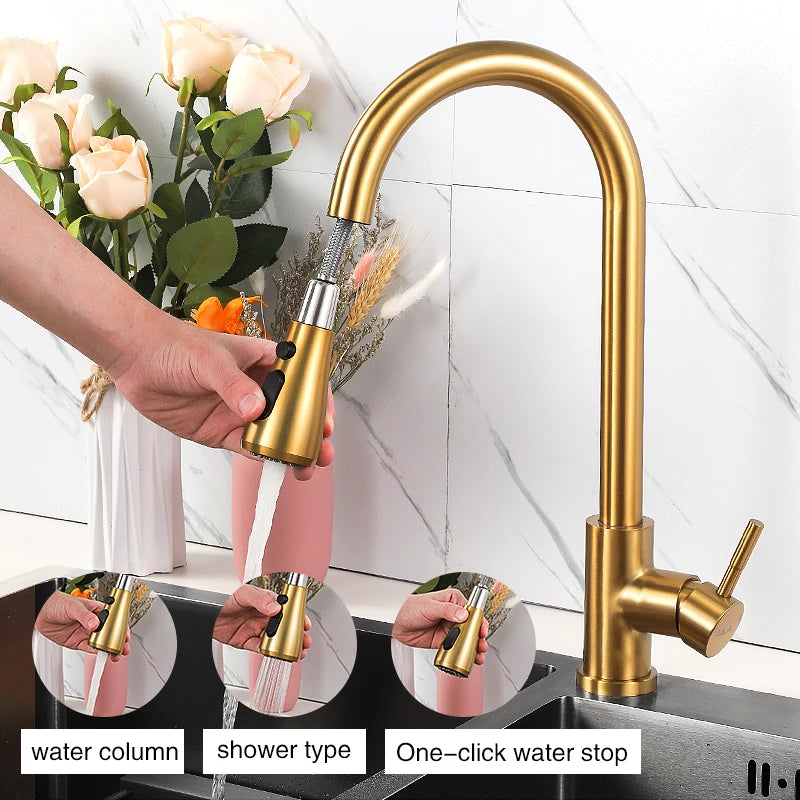 Black Brushed Kitchen Faucet - Pull Out Spout Mixer Tap with 360° Rotation