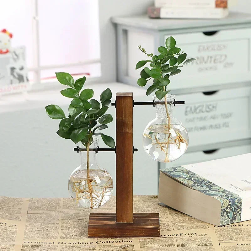 Hydroponic Glass Plant Terrarium – Modern Desktop Vase for Home & Office