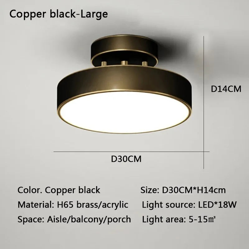 Modern LED Ceiling Light – Copper Lamp for Bedroom and Living Room Decor