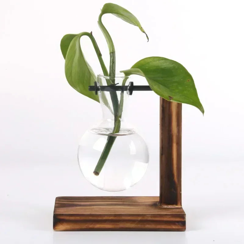 Hydroponic Glass Plant Terrarium – Modern Desktop Vase for Home & Office