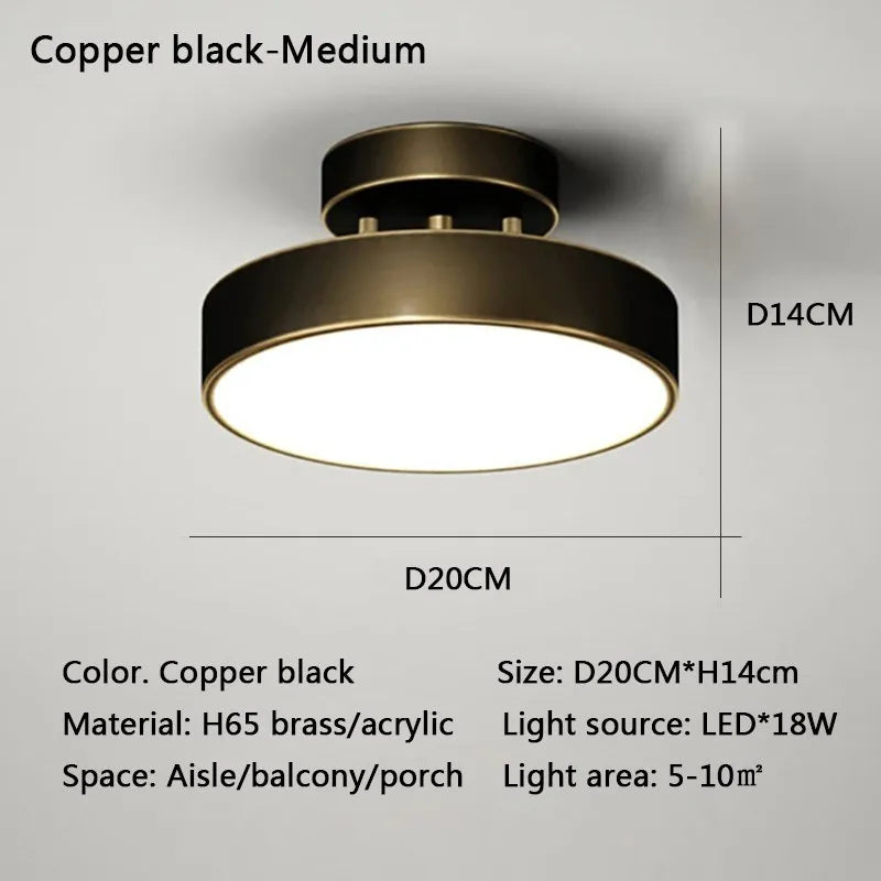 Modern LED Ceiling Light – Copper Lamp for Bedroom and Living Room Decor