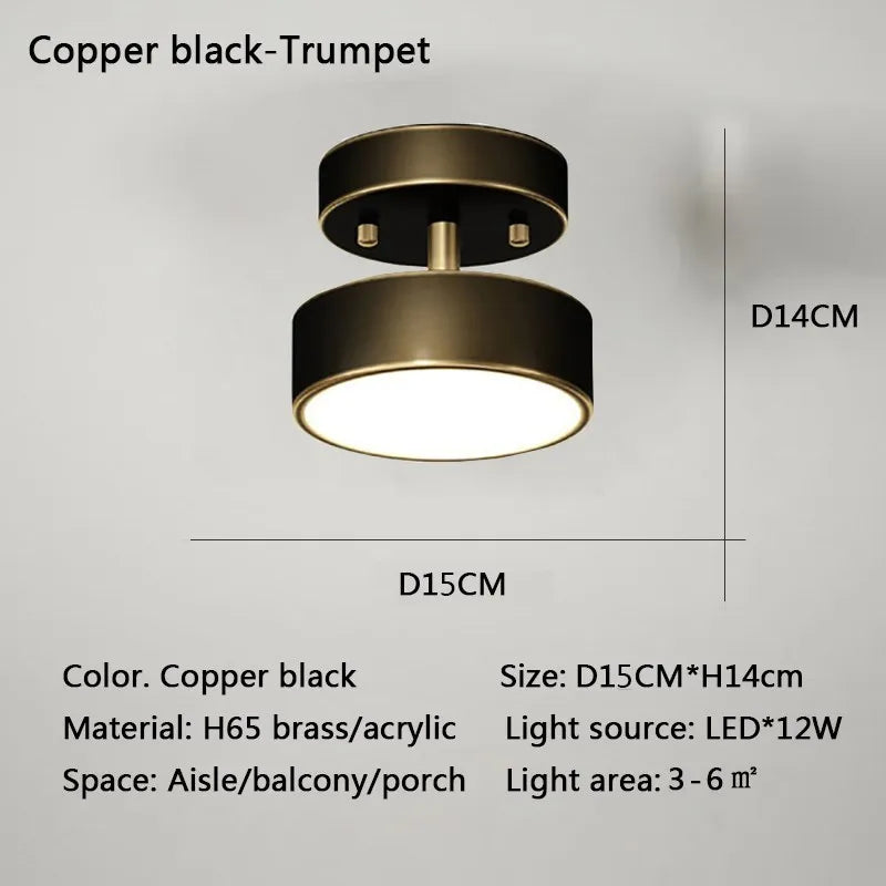 Modern LED Ceiling Light – Copper Lamp for Bedroom and Living Room Decor