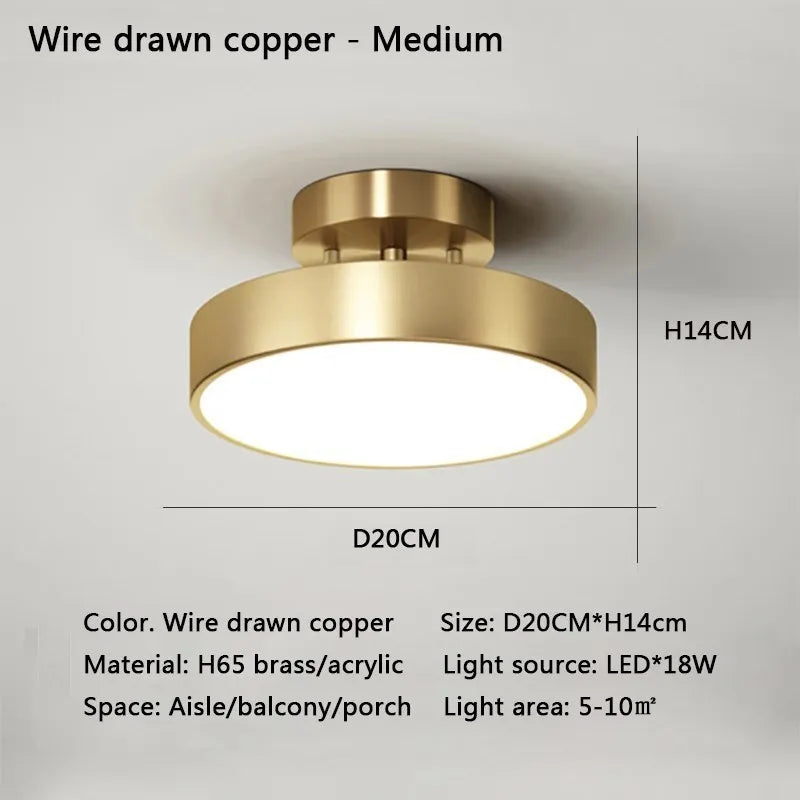 Modern LED Ceiling Light – Copper Lamp for Bedroom and Living Room Decor