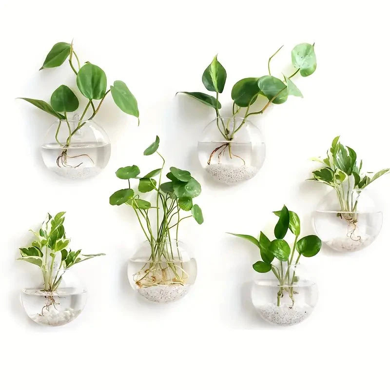 Wall Hanging Glass Plant Terrarium – Wall-Mounted Propagation Station & Flower Vase for Home & Office Decor